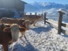Bild 33