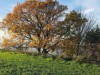 Bild 17