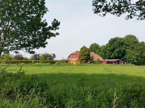 Ferielejlighed - 2 personer -  - Petersweg - 26632 - Ihlow