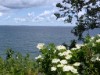 Image 33 - View of water
