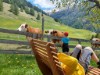 Billede 3
