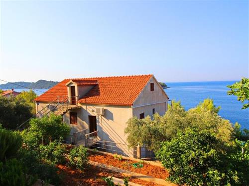 Holiday apartment - 8 persons -  - Zaglav 12, Karbuni - 20271 - Blato