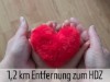 Bild 16