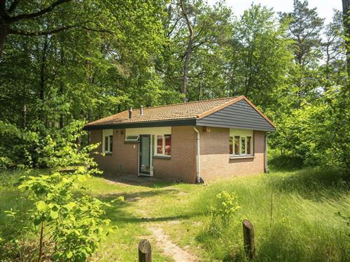 Holiday Home/Apartment - 4 persons -  - Hoge Bergweg - 7361 GS - Beekbergen