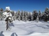 Bild 19