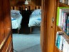 Bild 11 - Inde