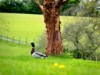 Bild 12 - Aussen