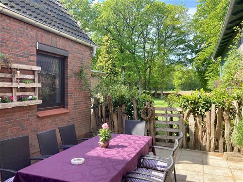 Ferienwohnung - 5 Personen -  - Horn - 21769 - Armstorf