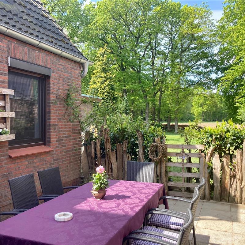 Ferielejlighed - 5 personer -  - Horn - 21769 - Armstorf