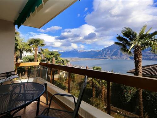 Holiday apartment - 3 persons -  - Via Patocchi - 6644 - Orselina