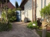 Bild 41