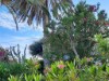 Image 23 - Outside