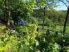 Bild 16