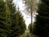 Bild 24 - Aussen