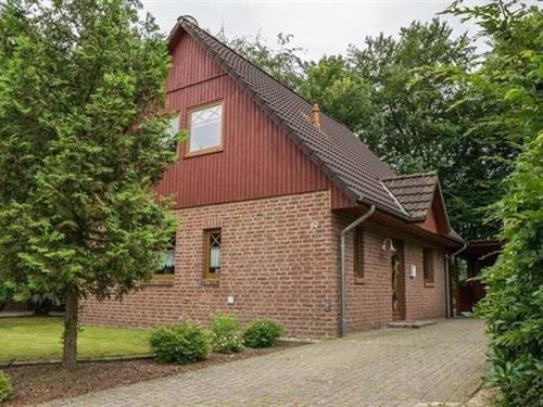 Ferienhaus - 4 Personen -  - Am Hasenfeld - 49751 - Sögel