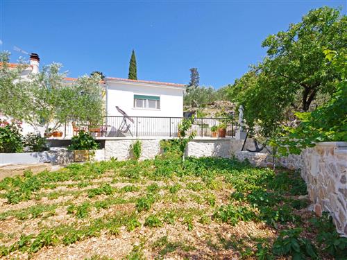 Sommerhus - 4 personer -  - Ulica svetog Lazara - 21220 - Trogir