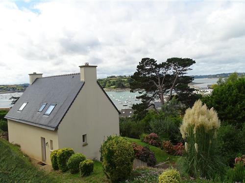 Ferienhaus - 8 Personen -  - 29630 - Plougasnou