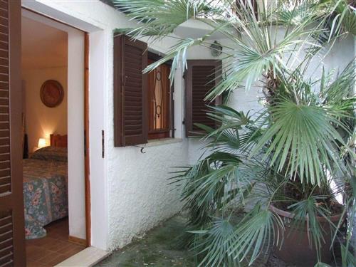 Holiday apartment - 4 persons -  - Castagneto Carducci - 57022
