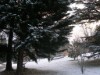 Bild 24 - Ude