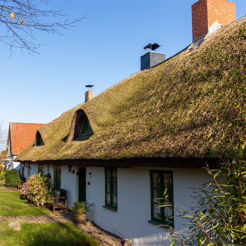 Feriecenter - 6 personer -  - Vieregge - 18569 - Neuenkirchen