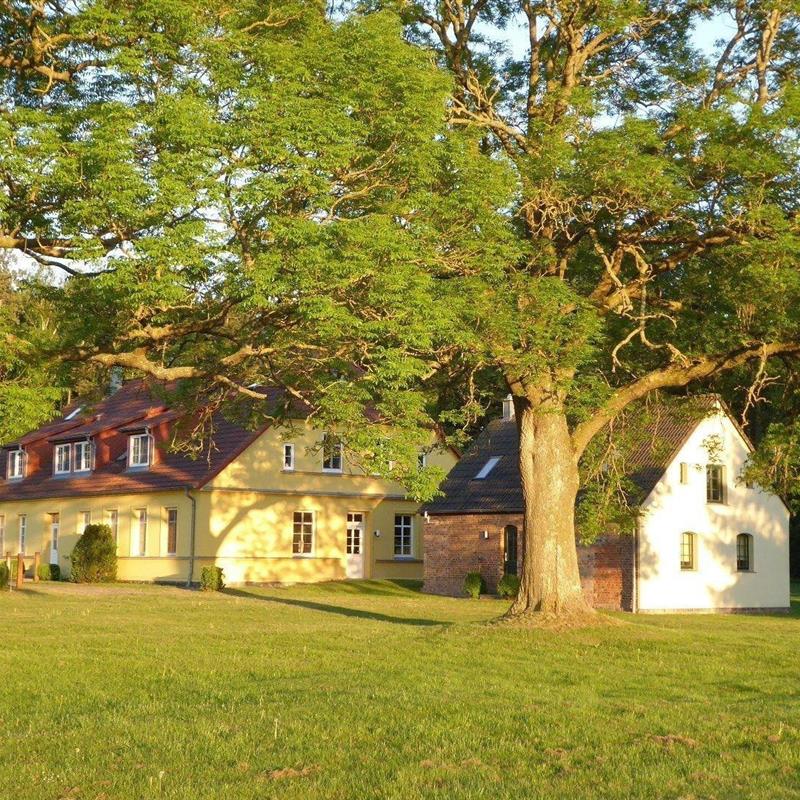 Ferielejlighed - 4 personer -  - Volsvitz - 18569 - Gingst