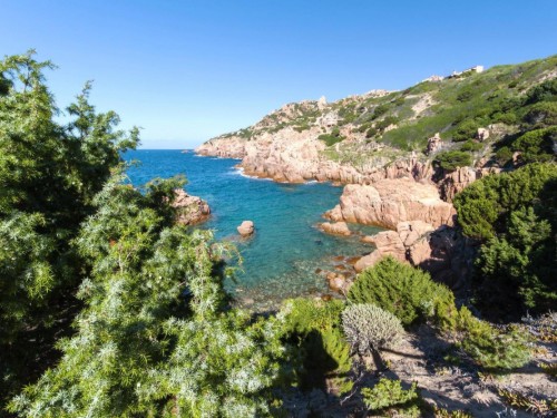 Feriehus - 4 personer -  - 07038 - Trinità D'agultu E Vignola (Ot)