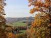 Bild 51