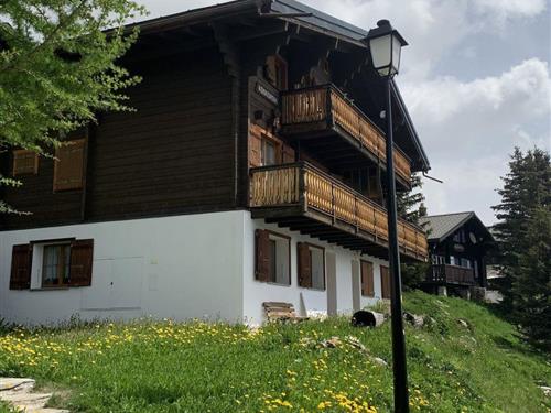 Semesterhus/Semesterlägenhet - 4 personer -  - Bettmeralp - 3992