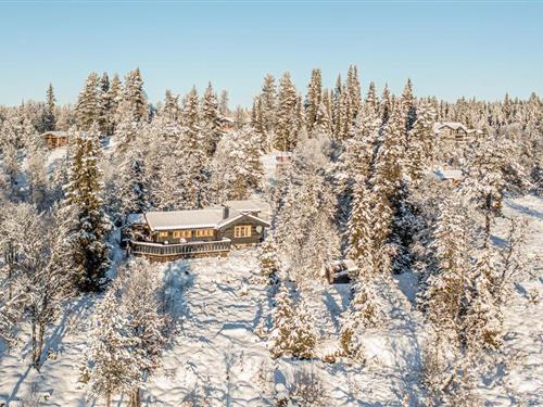 Fritidshus - 6 personer -  - Skoglivegen - Golsfjellet - 3550 - Gol