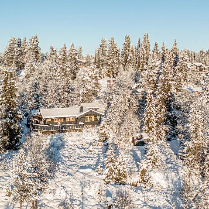 Sommerhus - 6 personer -  - Skoglivegen - Golsfjellet - 3550 - Gol