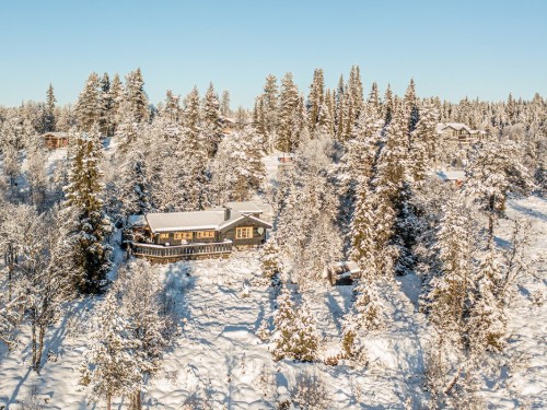 Feriehus - 6 personer -  - Skoglivegen - Golsfjellet - 3550 - Gol