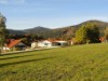 Bilde 3