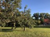 Billede 8