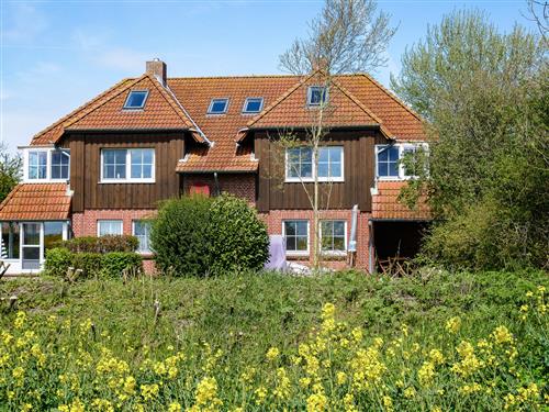Ferienwohnung - 4 Personen -  - Wenkendorf - 23769 - Fehmarn Ot Wenkendorf