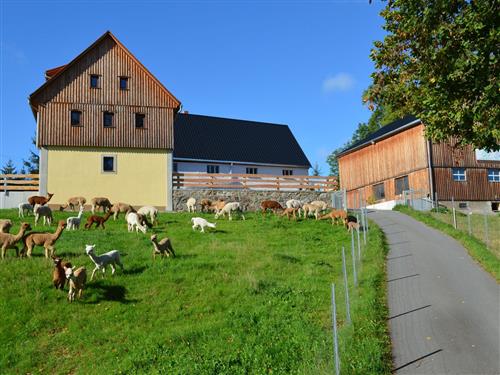 Ferienhaus - 9 Personen -  - Freitalerstr. - 09623 - Frauenstein