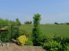 Bild 64
