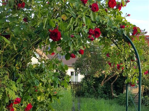 Ferielejlighed - 3 personer -  - Warbender Str. - 17237 - Blankensee