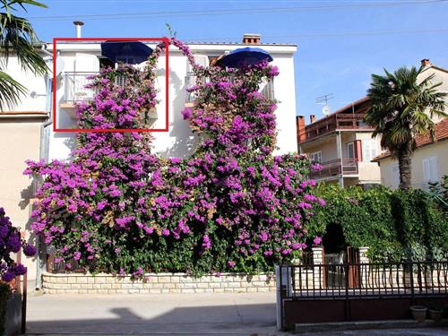 Holiday Home/Apartment - 4 persons -  - Ante Kovacica - 23210 - Biograd