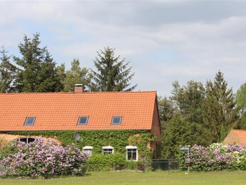 Feriehus - 6 personer -  - 19303 - Hohen Woos