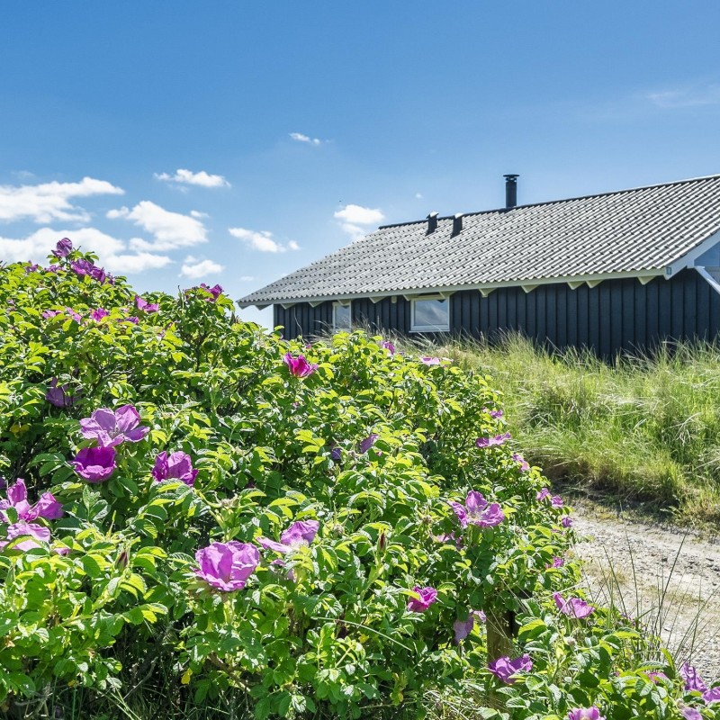 Sommerhus - 4 personer -  - Nordvej - Vejers Nordstrand - 6853 - Vejers Strand