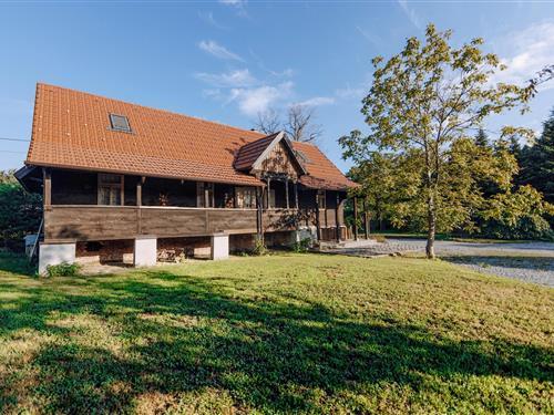 Feriehus - 8 personer -  - Derezani - Ivanic Grad - Derezani - 10313 - Derezani