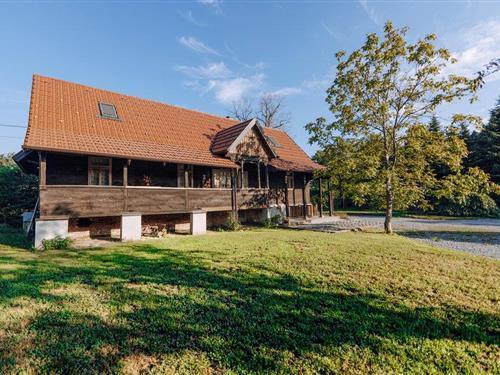 Sommerhus - 8 personer -  - Derezani - Ivanic Grad - Derezani - 10313 - Derezani