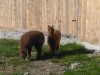 Bild 16