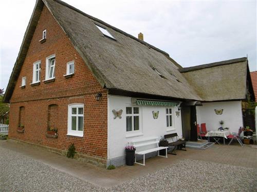 Ferieleilighet - 4 personer -  - Neuendorf - 18581 - Putbus