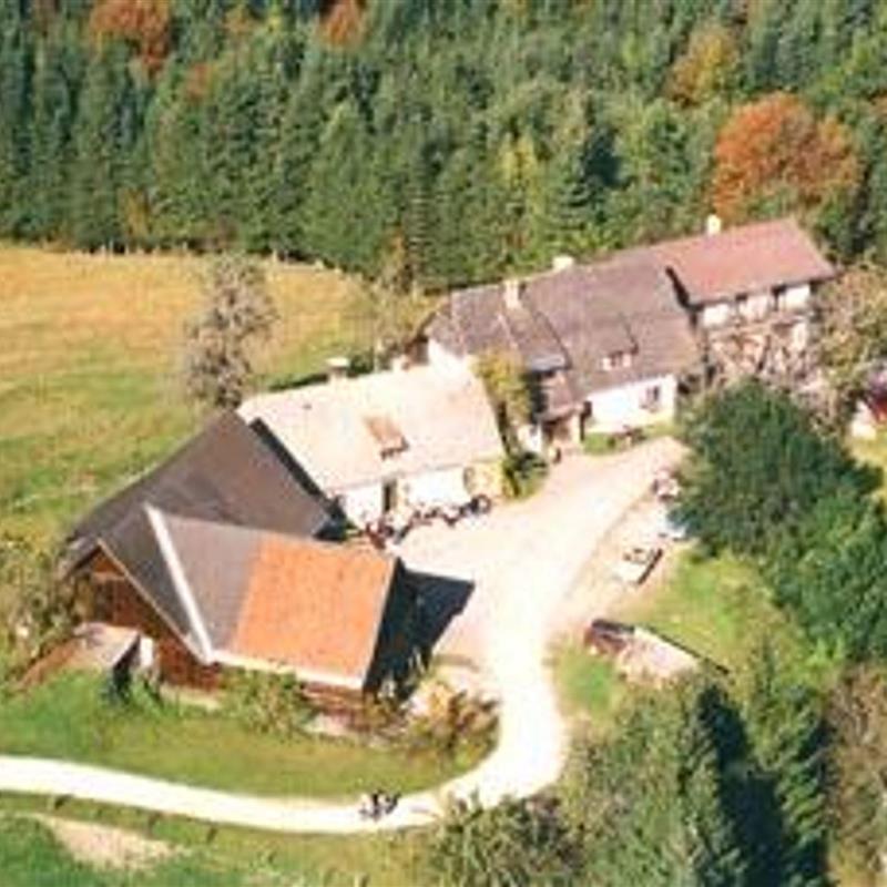 Ferielejlighed - 7 personer -  - Wurbauerkogel - 4581 - Rosenau Am Hengstpaß