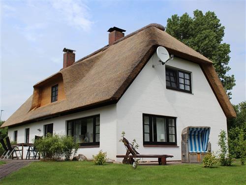 Sommerhus - 8 personer -  - Böhler Landstraße - 25826 - St. Peter-Ording