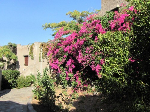 Holiday apartment - 2 persons -  - Mavrovouni - 23200