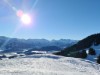 Bild 41