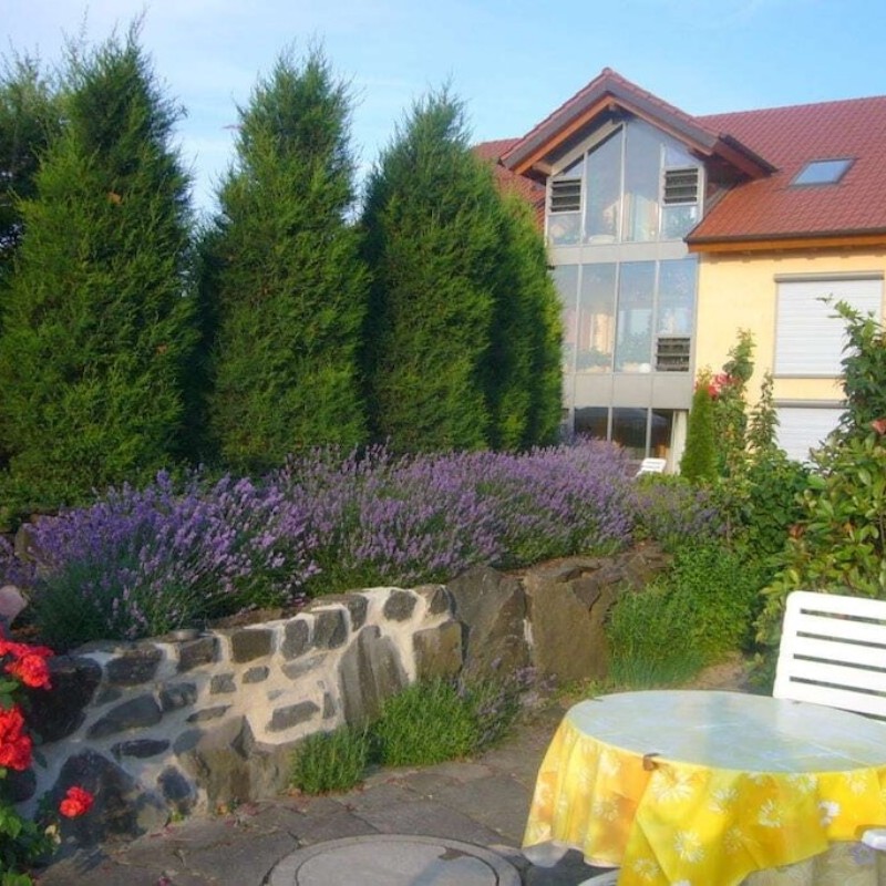 Sommerhus - 4 personer -  - 67273 - Herxheim