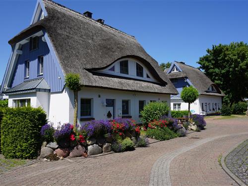 Holiday Home/Apartment - 6 persons -  - Likdedeelerweg - 18374 - Zingst